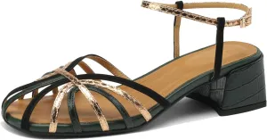 MOOMMO Women Low Heel Sandals Ankle Strap Rainbow Kitten Heel Cage Sandal Shoes T Strap Mary Jane Pumps Chunky Block Heel Cutout Sandals Bridal Wedding Summer Vintage Dressy Elegant Comfort 4-11 M US