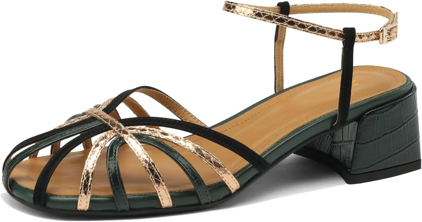 MOOMMO Women Low Heel Sandals Ankle Strap Rainbow Kitten Heel Cage Sandal Shoes T Strap Mary Jane Pumps Chunky Block Heel Cutout Sandals Bridal Wedding Summer Vintage Dressy Elegant Comfort 4-11 M US
